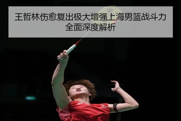 wang-zhe-lin-shang-yu-fu-chu-ji-da-zeng-qiang-shang-hai-nan-lan-zhan-dou-li-quan-mian-shen-du-jie-xi-2-310.jpg